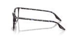 RB5421 OPTICS