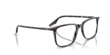 RB5421 OPTICS