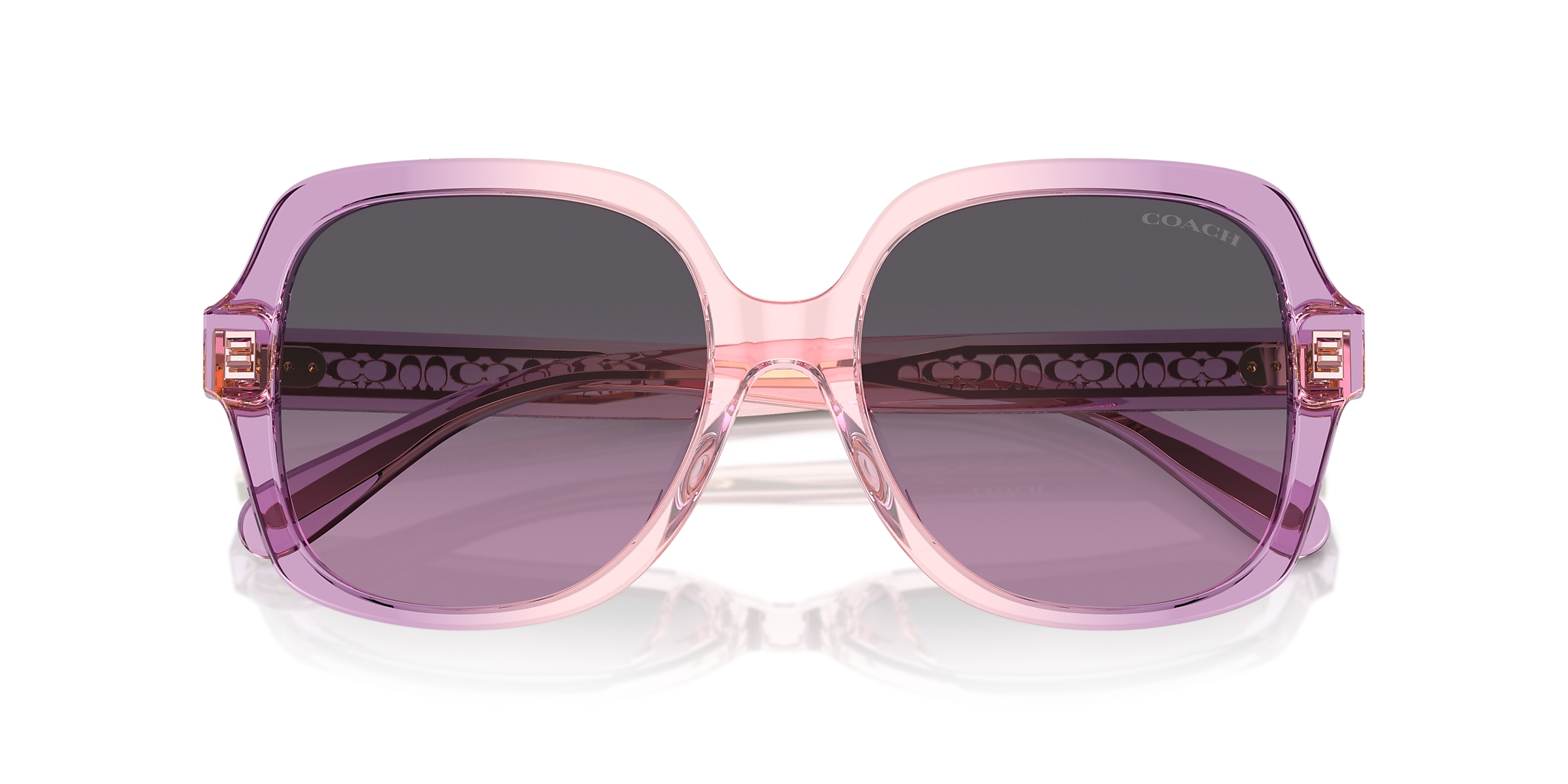 Coach Sunglasses HC8395U CR614