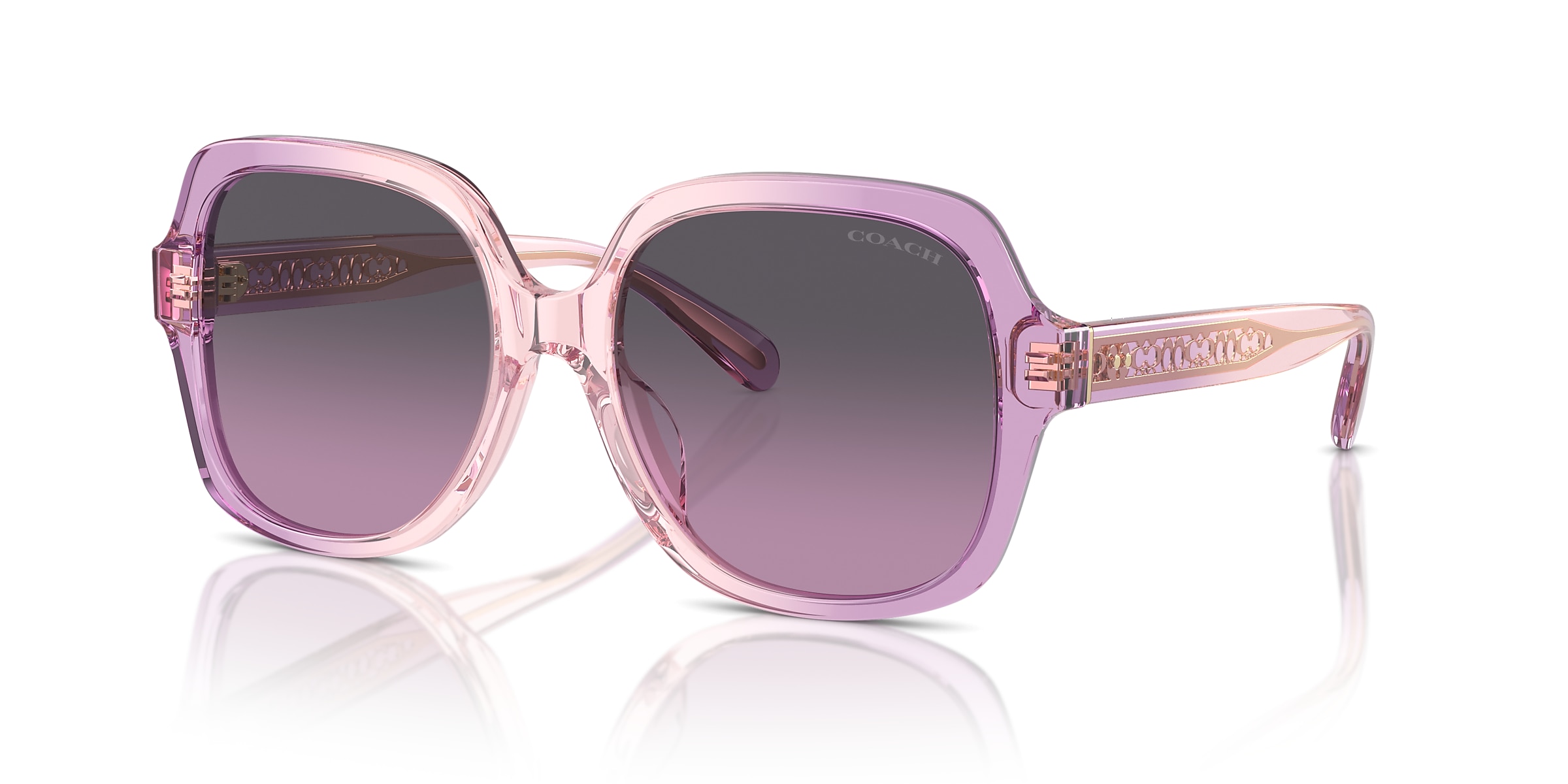 Coach Sunglasses HC8395U CR614