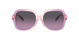 coach Sunglasses hc8395u cr614