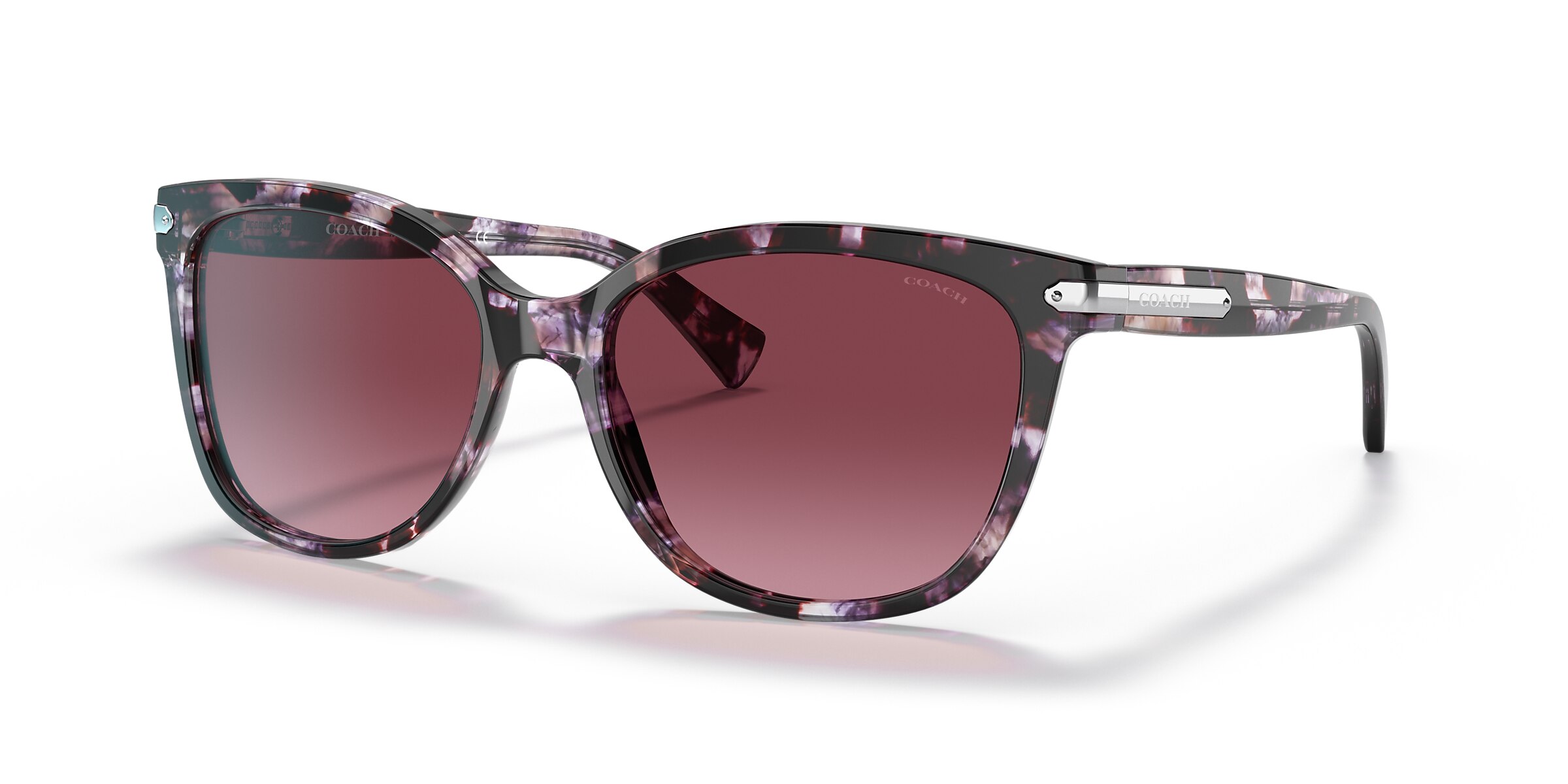 Coach Sunglasses HC8132 L109