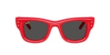 Ray-Ban Sunglasses RB4940 WAYFARER PUFFER