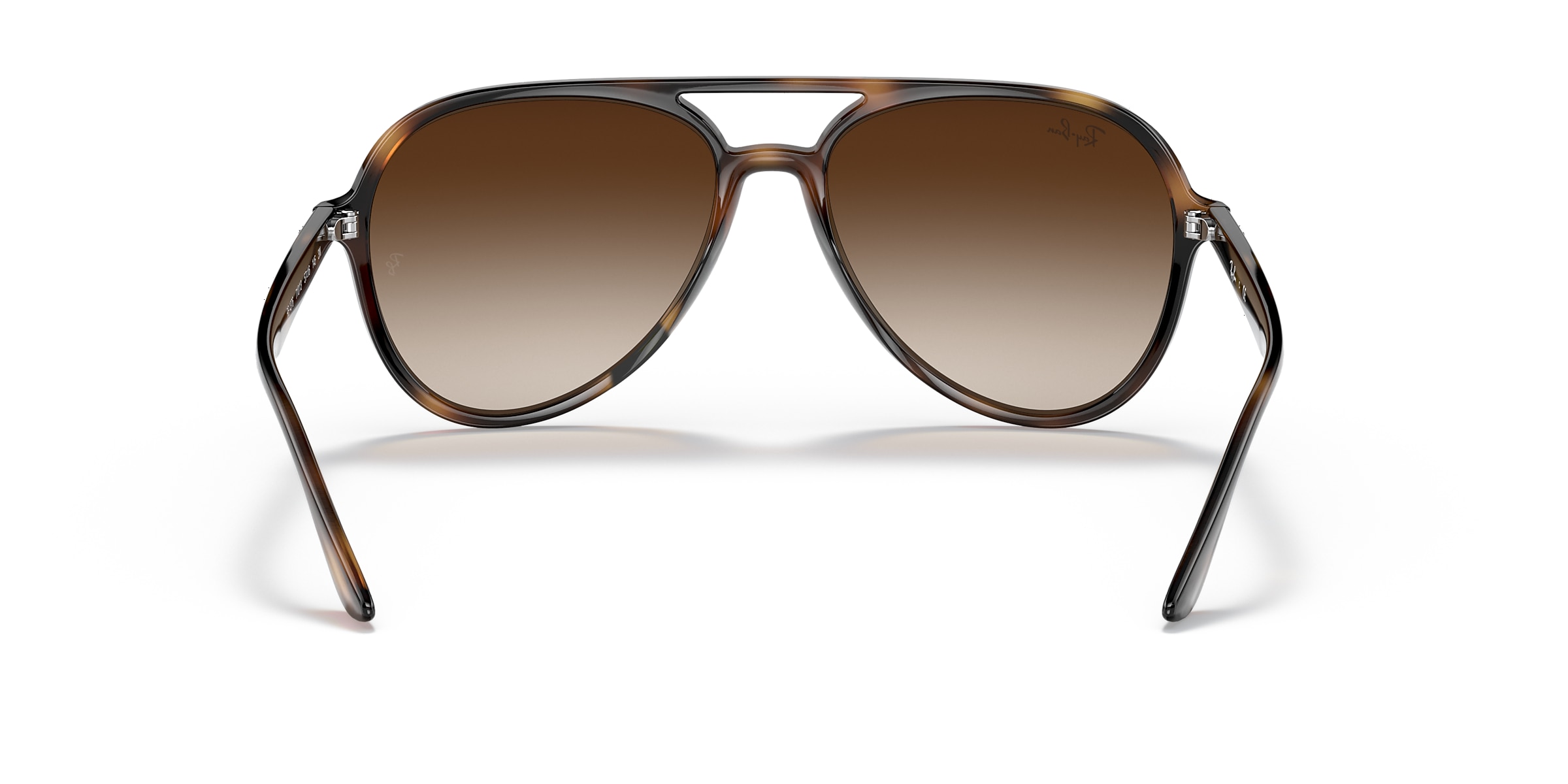 Ray-Ban Sunglasses RB4376