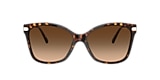 Coach Sunglasses HC8316 C3446