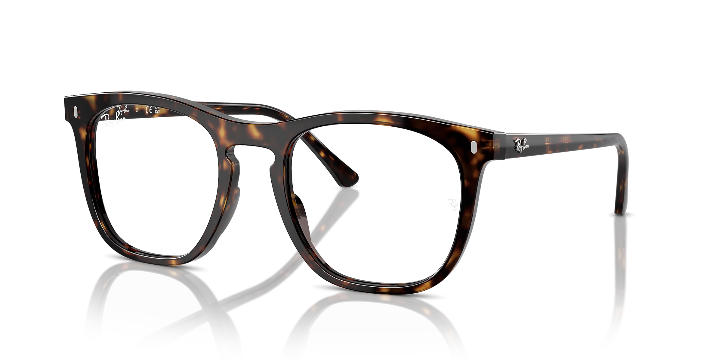 Ray-Ban Glasses RB2210V OPTICS