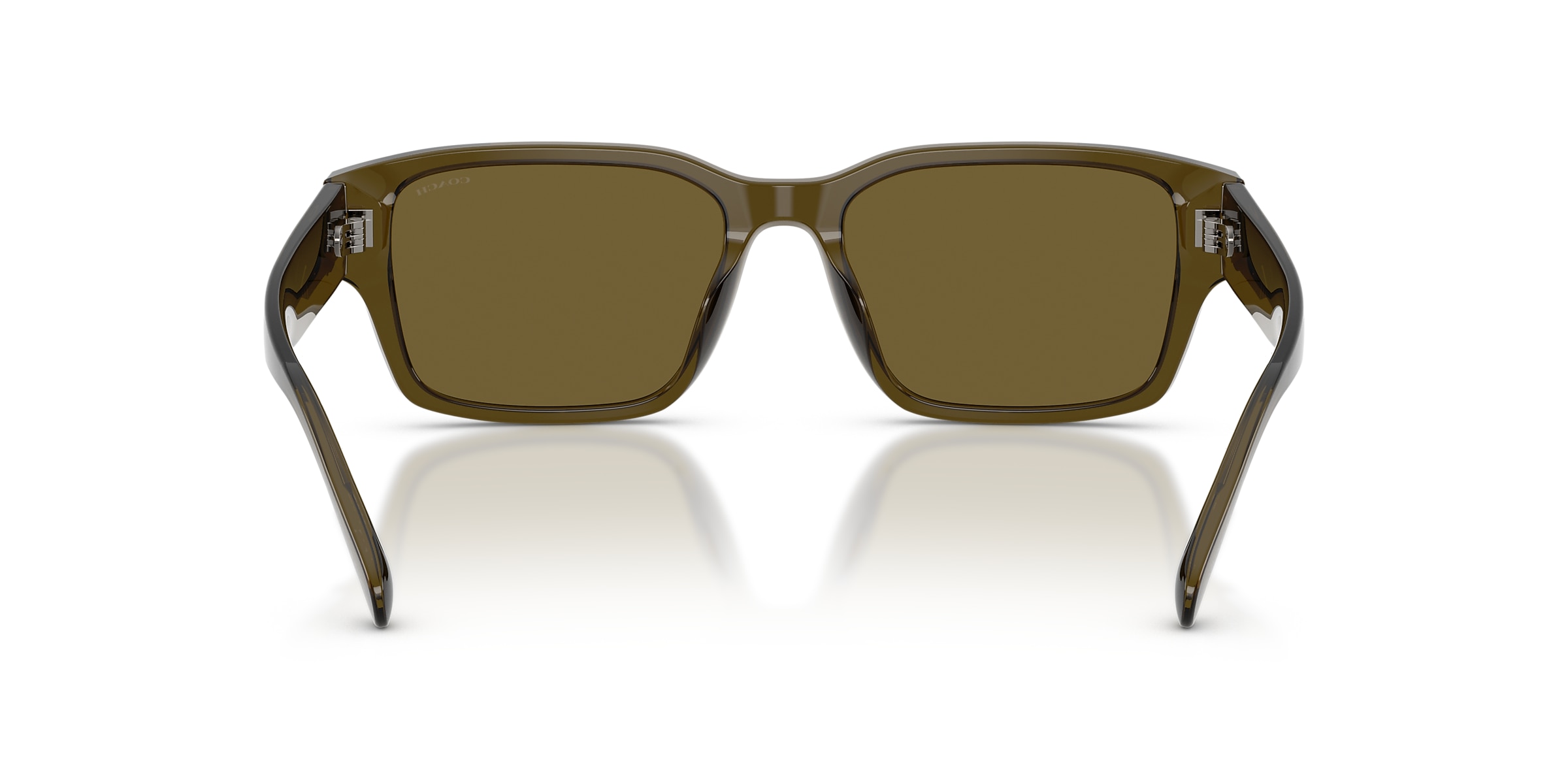 Coach Sunglasses HC8441U CBY96