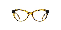 kam dhillon Glasses crestallina