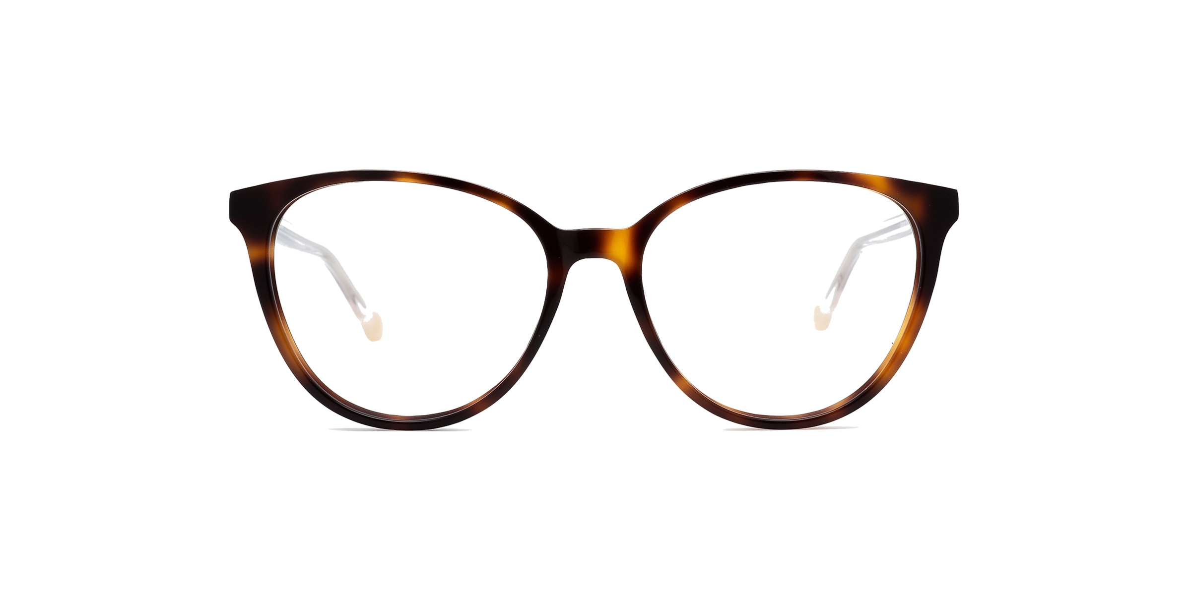 Clearly Glasses SPRUCE