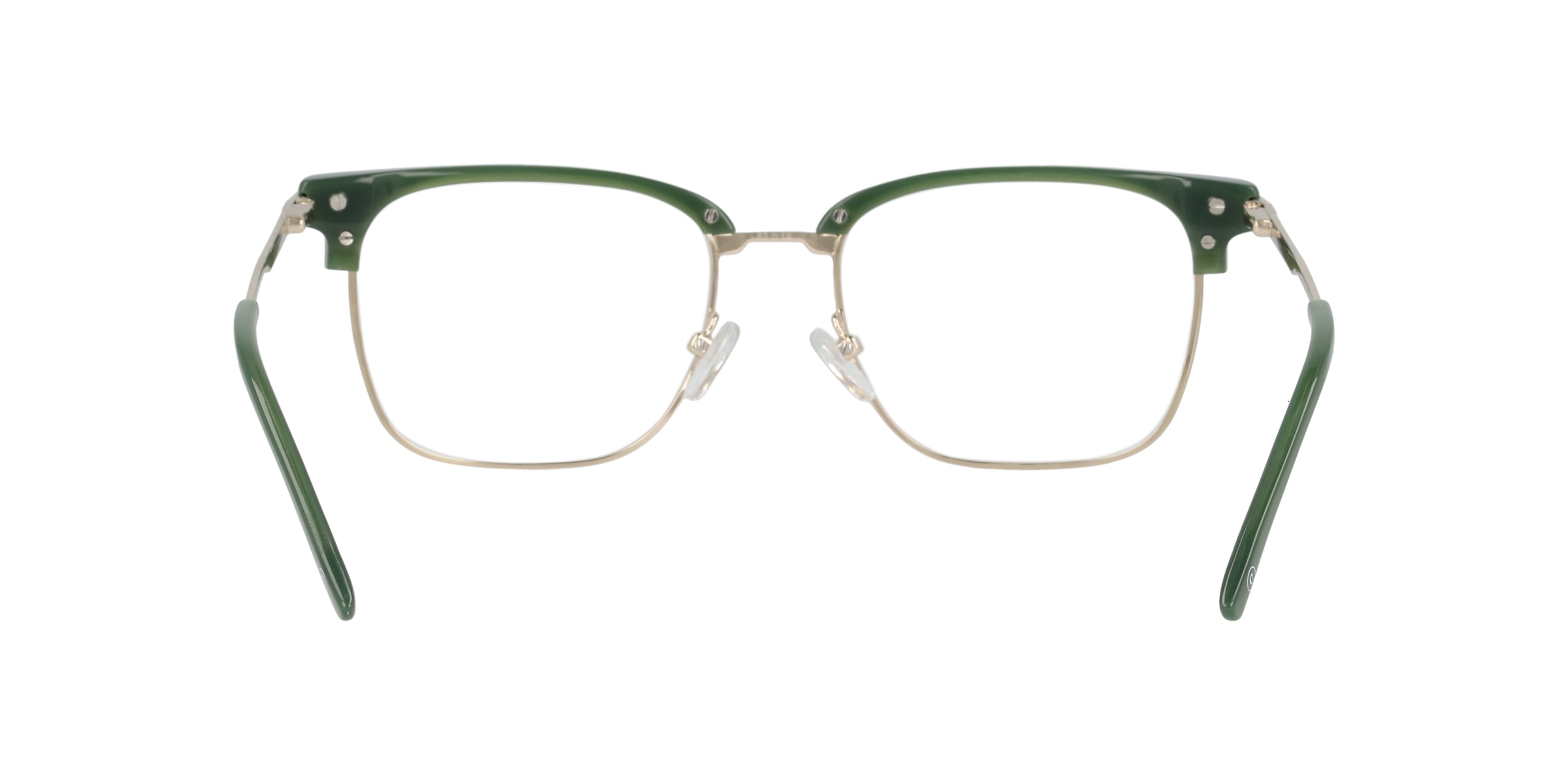 Clearly Glasses CACTUS