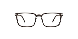 reincarnate Glasses curlew