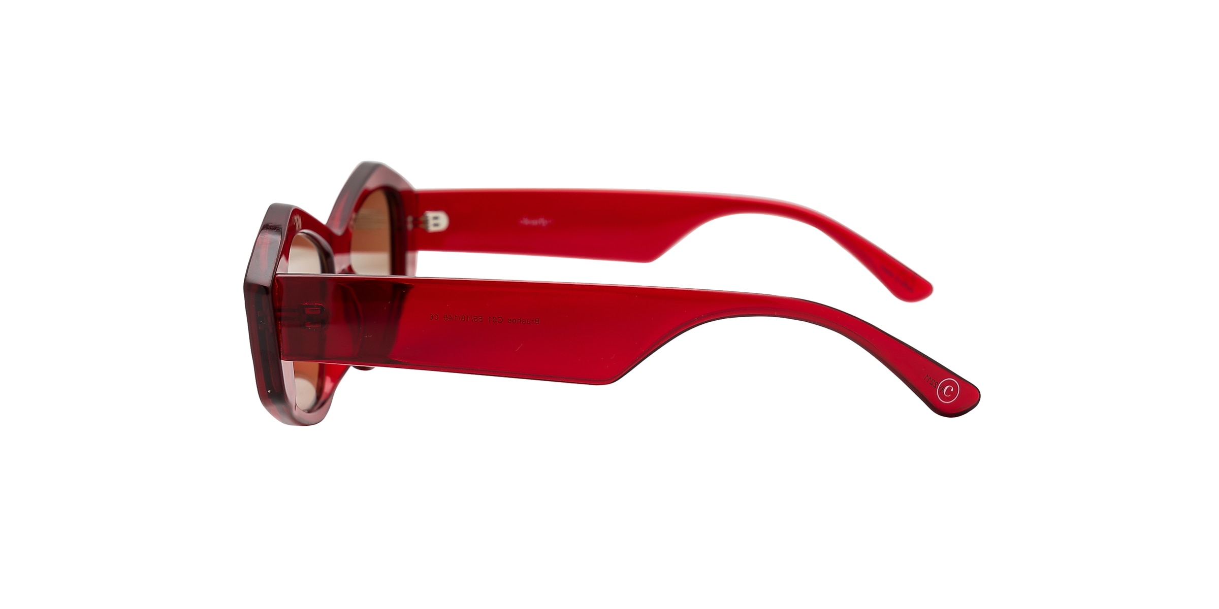 Clearly Sunglasses BRUSHES