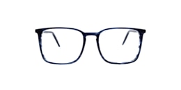 clearly Glasses hemlock