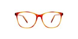 clearly Glasses fortune