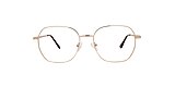 Clearly Glasses PROVOST