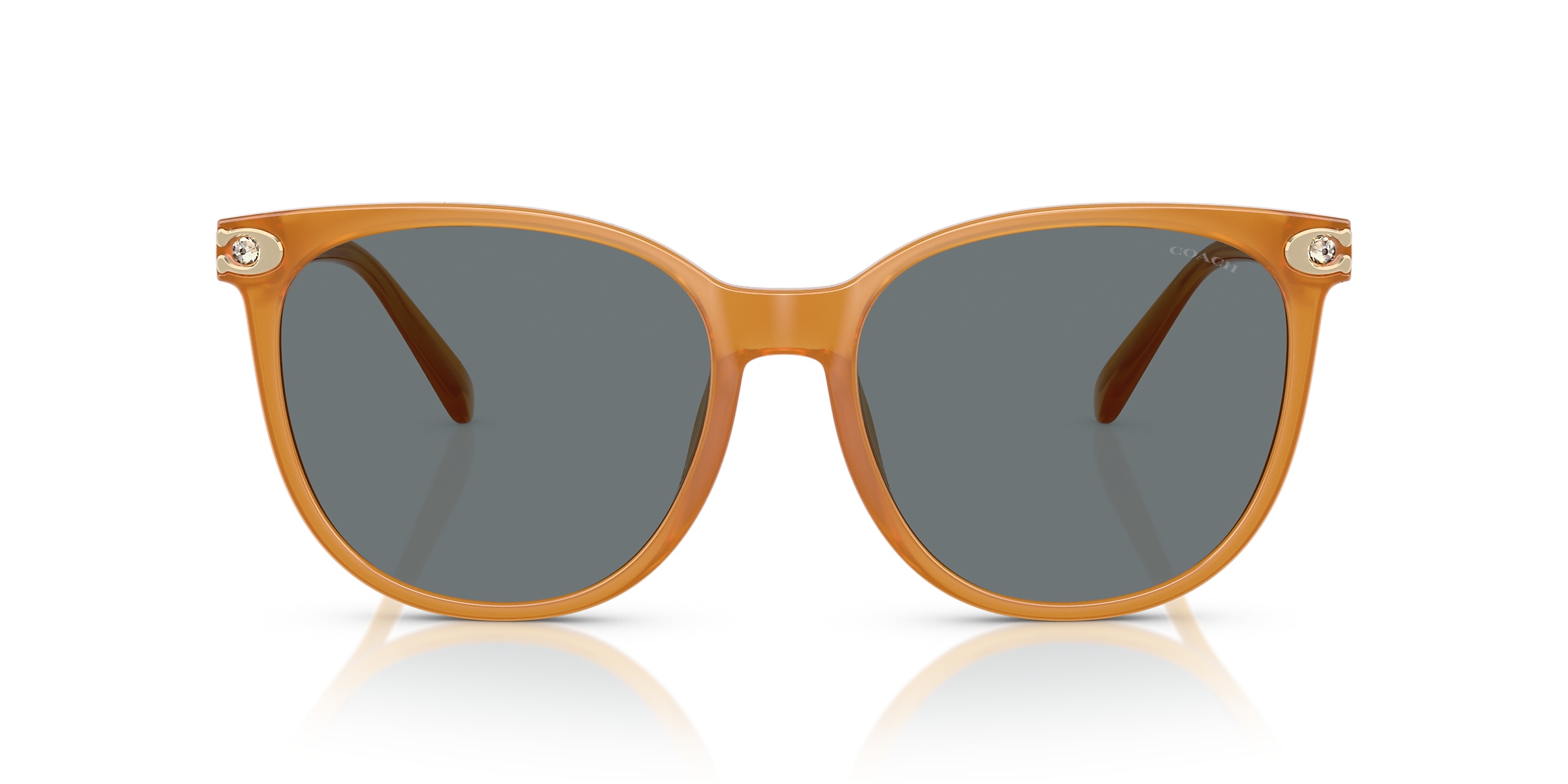 Coach Sunglasses HC8414BD CW428