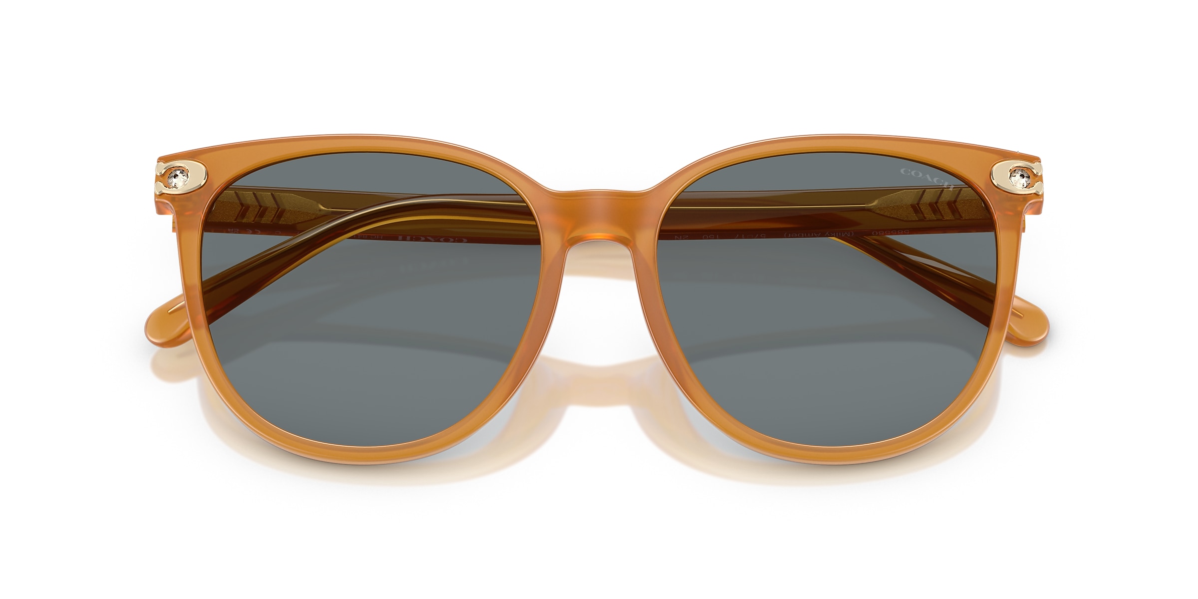 Coach Sunglasses HC8414BD CW428