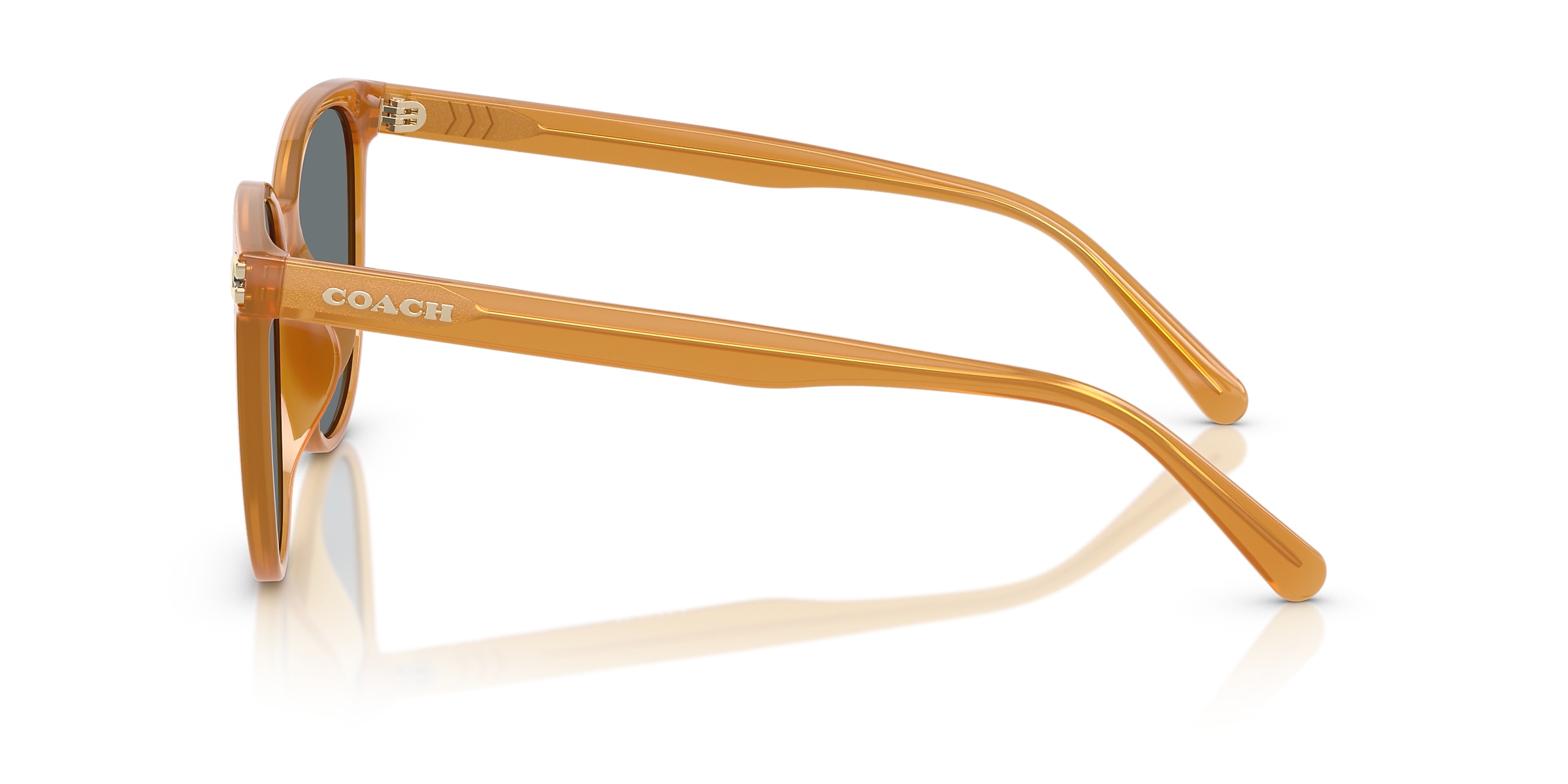 Coach Sunglasses HC8414BD CW428