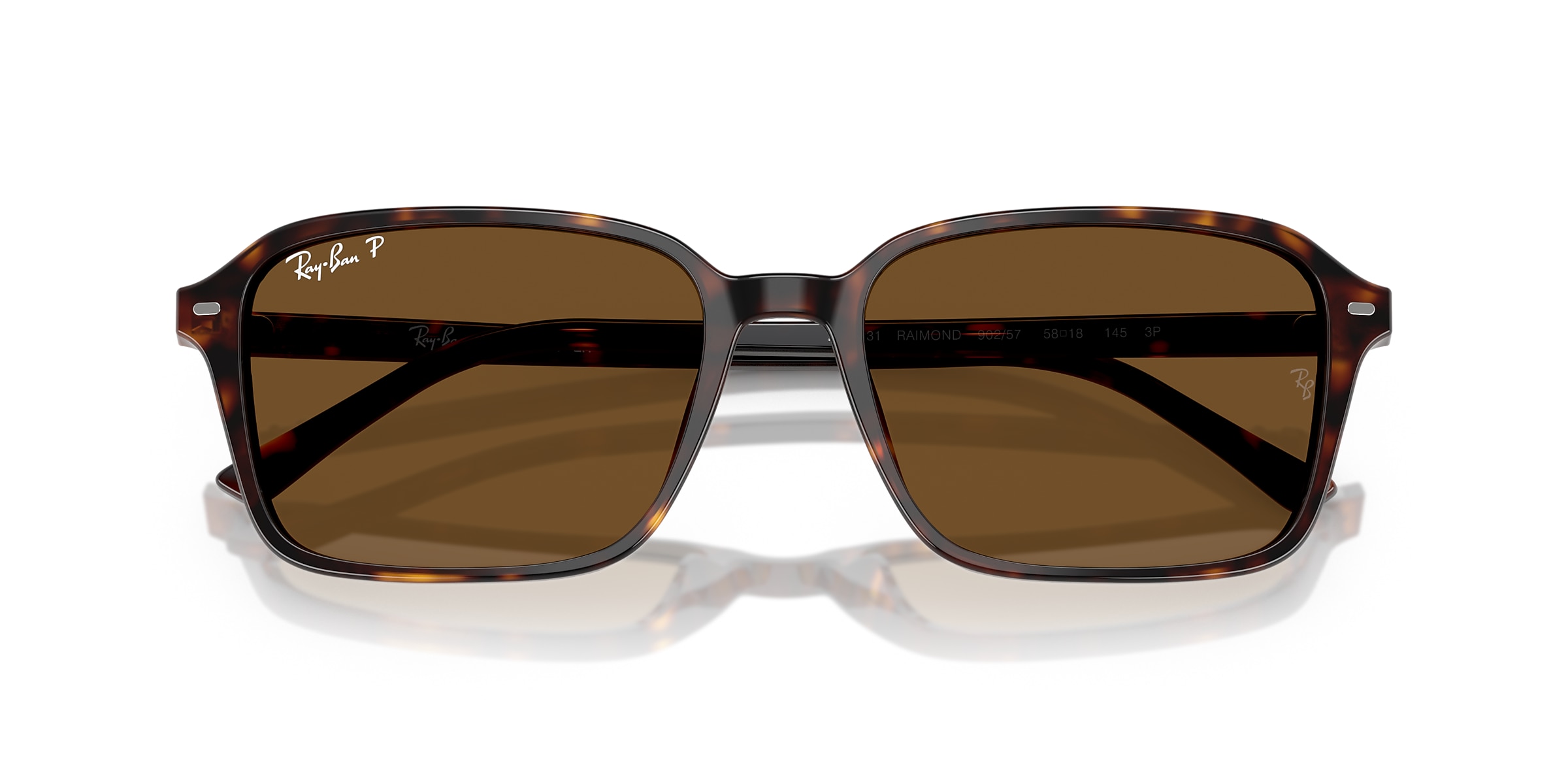Ray-Ban Sunglasses RB2231 RAIMOND