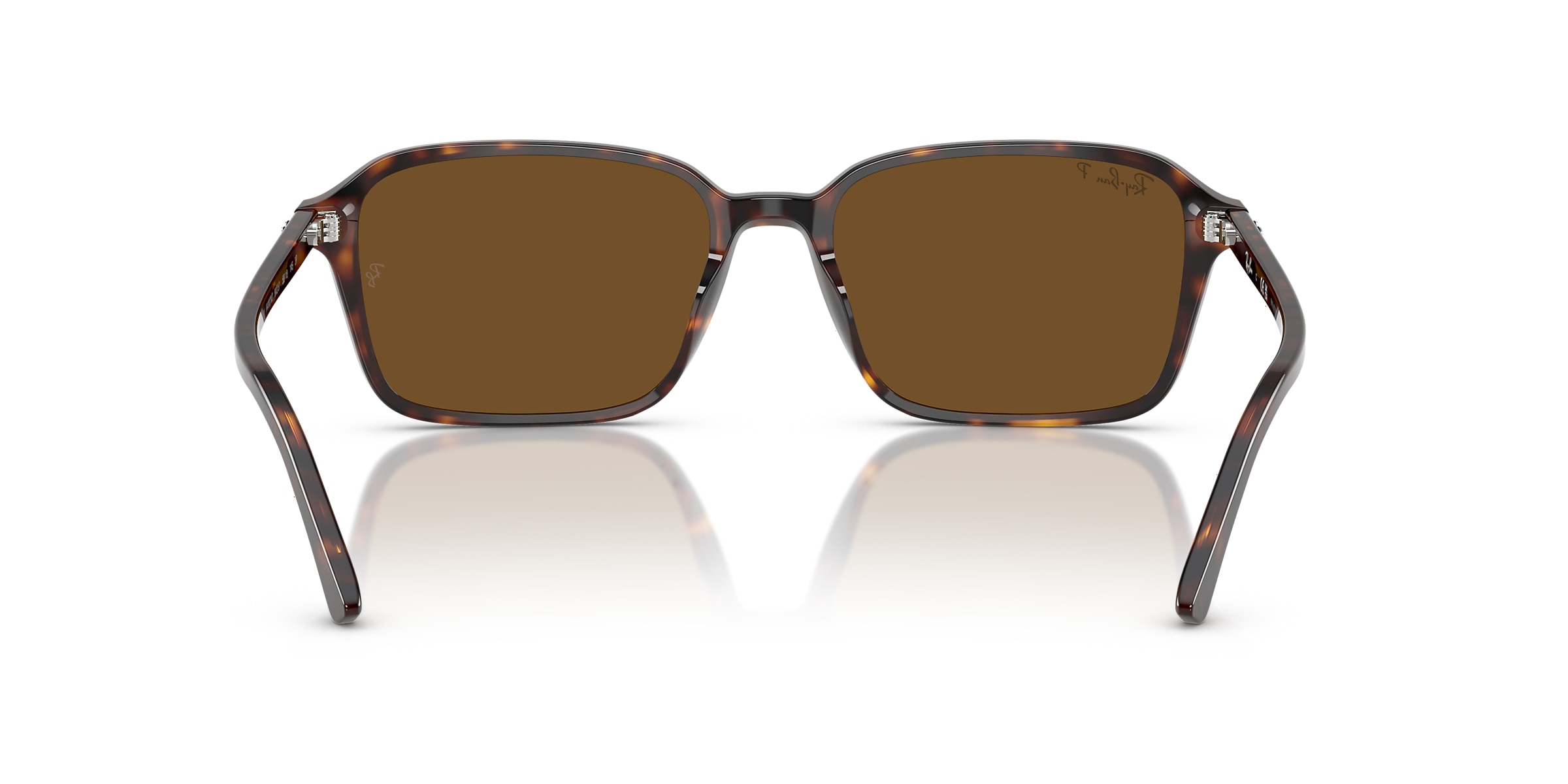 Ray-Ban Sunglasses RB2231 RAIMOND