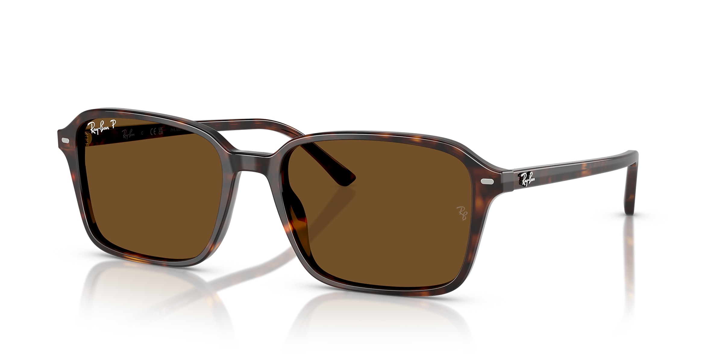 Ray-Ban Sunglasses RB2231 RAIMOND