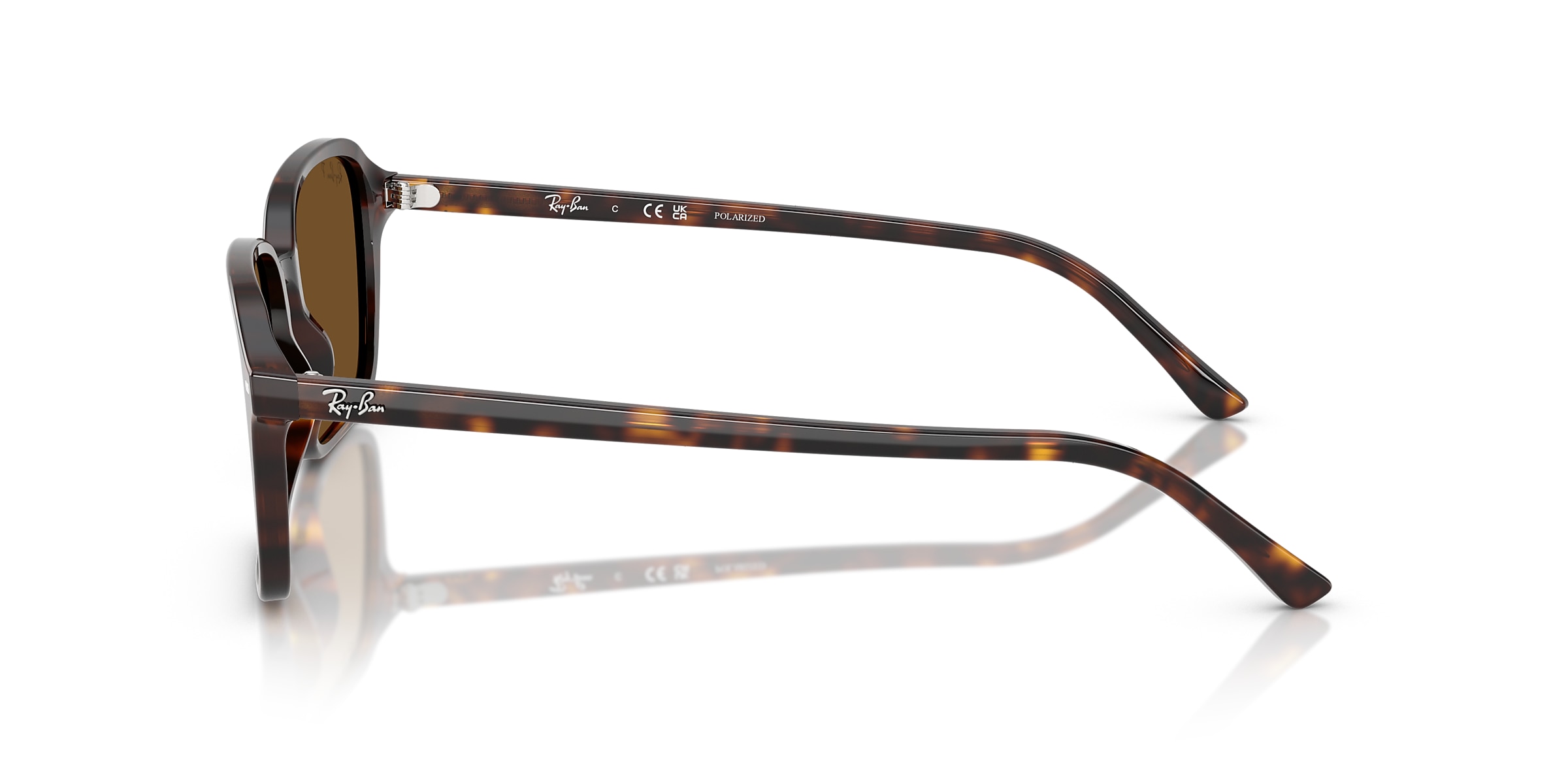 Ray-Ban Sunglasses RB2231 RAIMOND