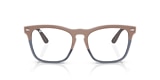 RB4487V STEVE OPTICS