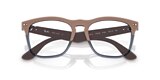 RB4487V STEVE OPTICS