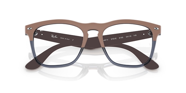 RB4487V STEVE OPTICS