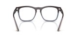 RB4487V STEVE OPTICS