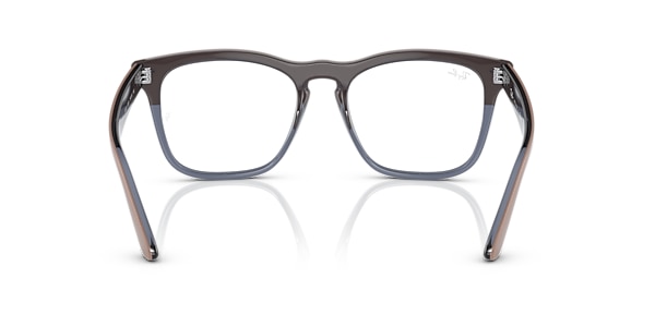 RB4487V STEVE OPTICS