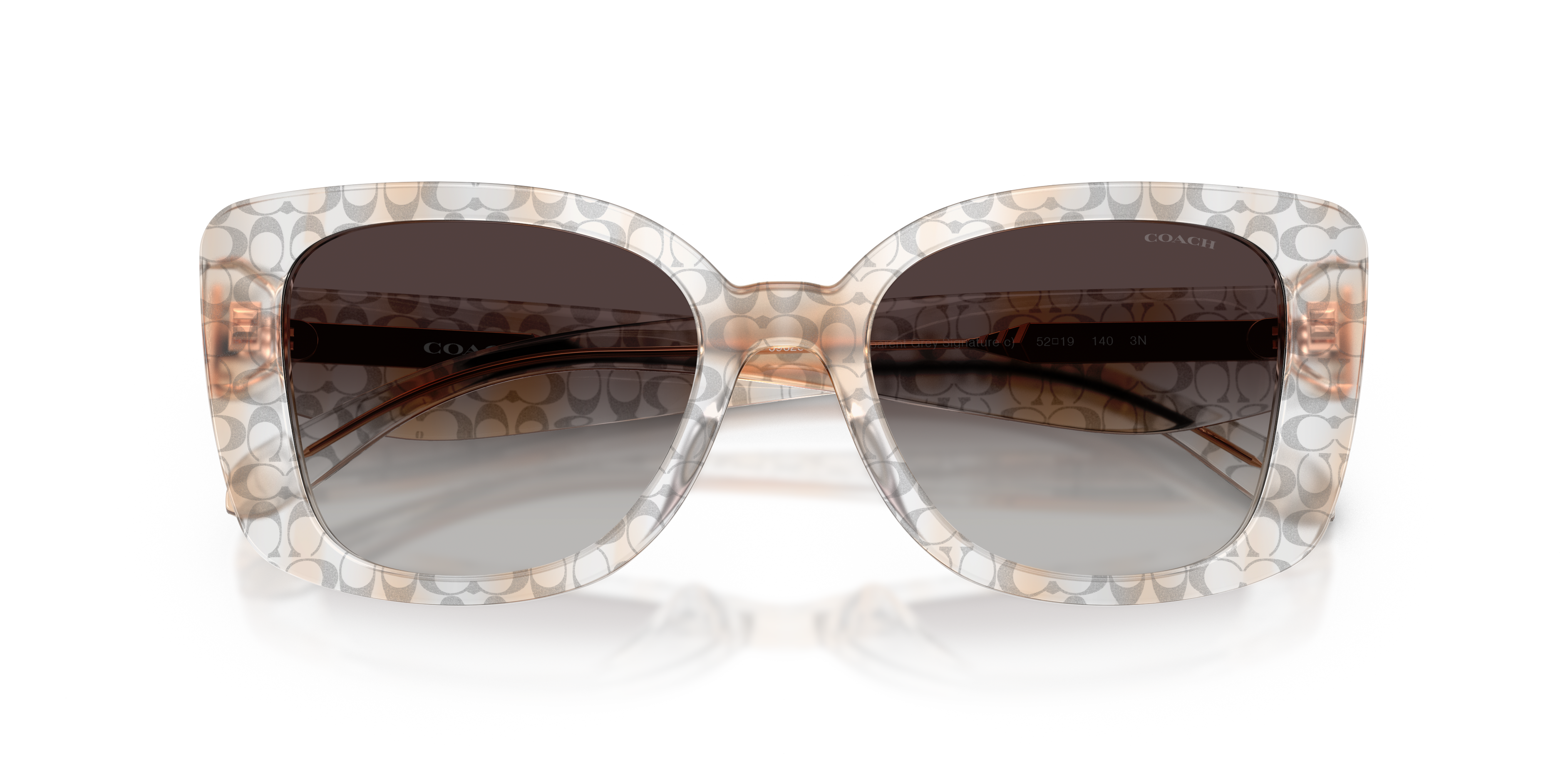 Coach Sunglasses HC8450U CDP48