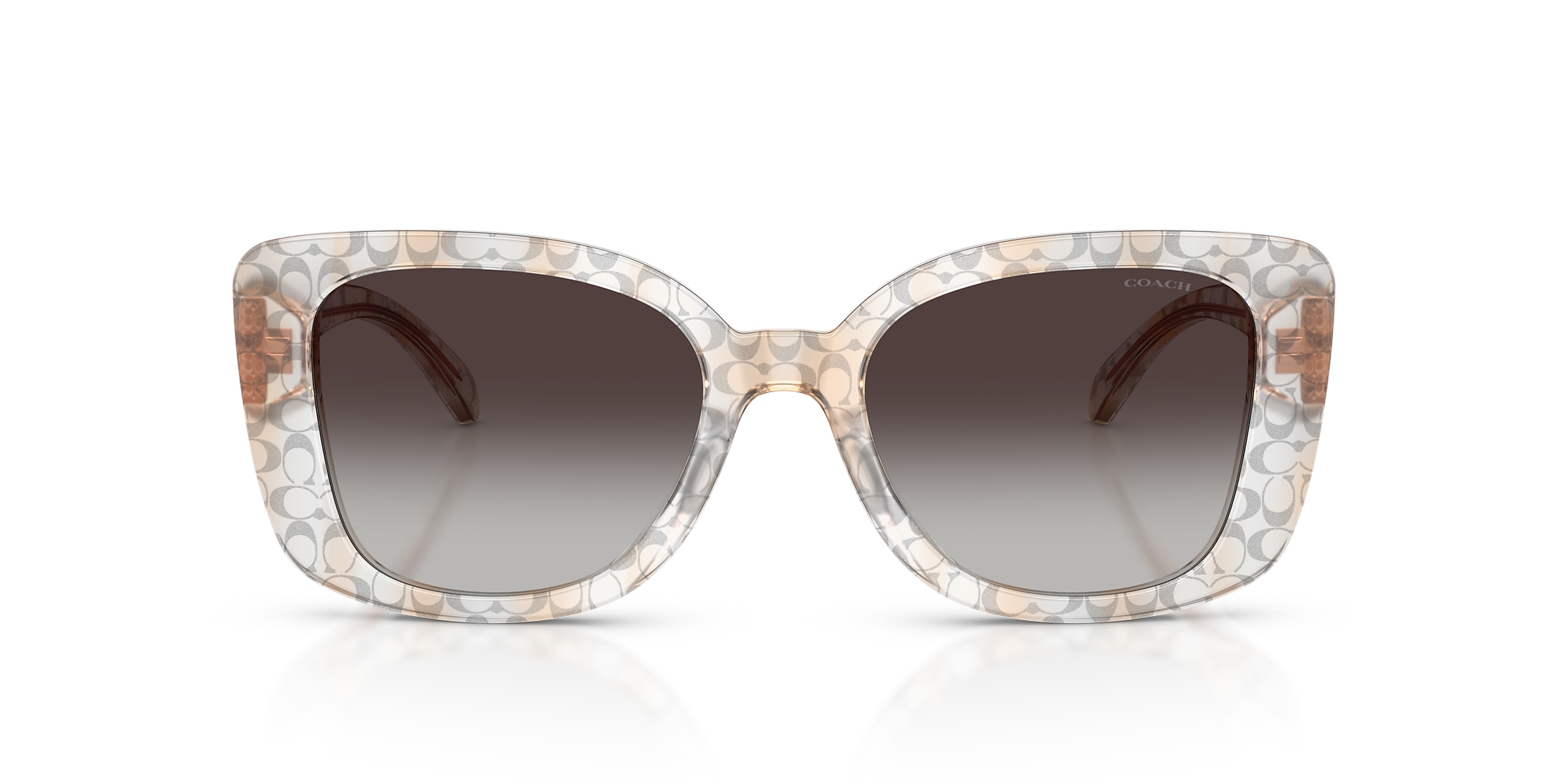Coach Sunglasses HC8450U CDP48