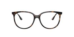 ray-ban Glasses rb4378vf rb4378v optics