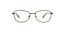 Clearly Glasses BERTRAND