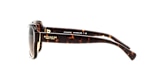 HC8160 L145