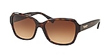 HC8160 L145