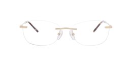 clearly Glasses darby