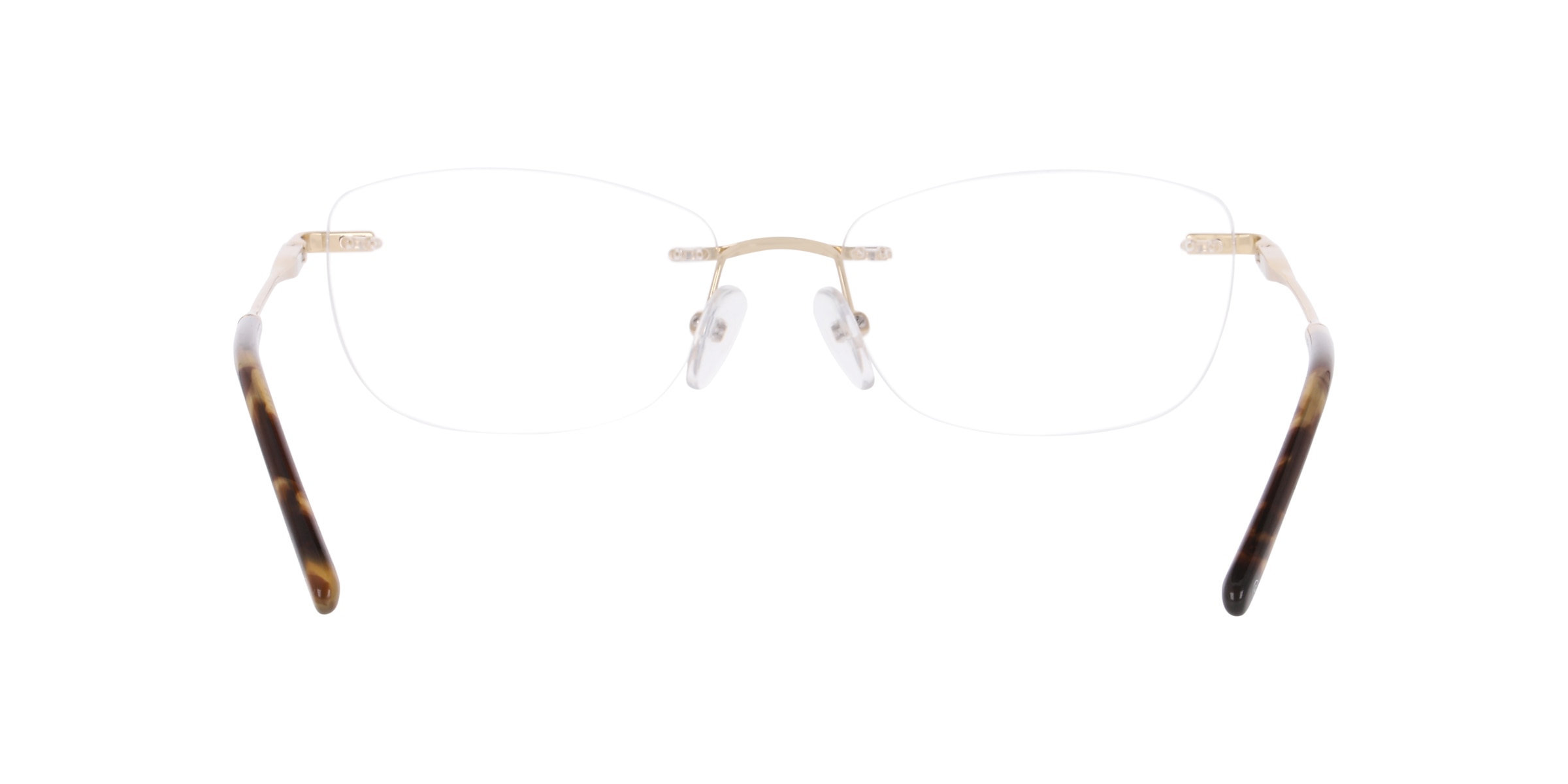 Clearly Glasses DARBY