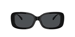 coach Sunglasses hc8330f c6187