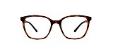 Clearly Glasses GEORGES COVE