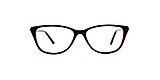 Clearly Glasses BOTWOOD