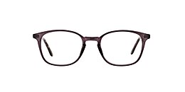 clearly Glasses kensington