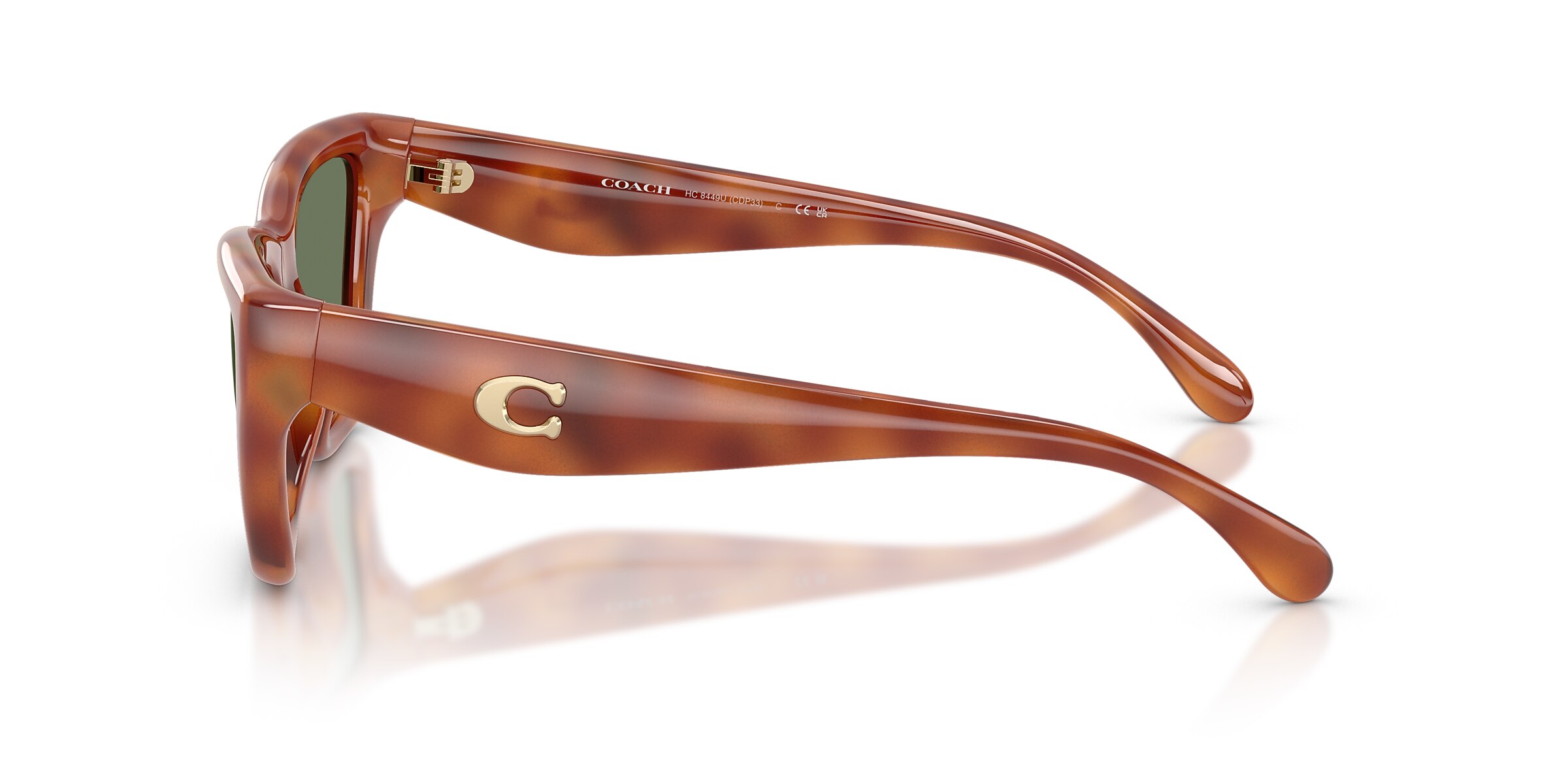 Coach Sunglasses HC8449U CDP33