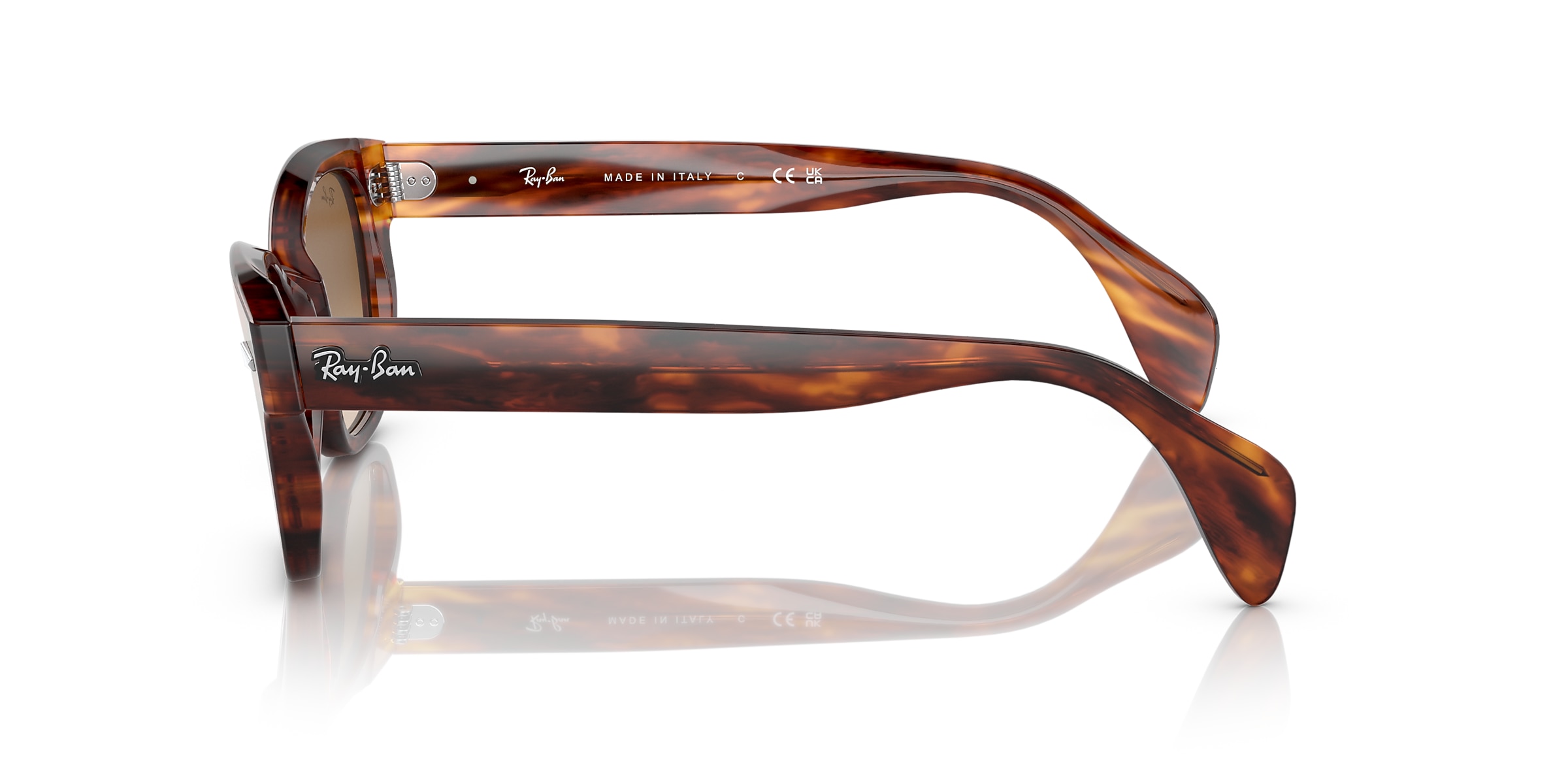 Ray-Ban Sunglasses RB0880S