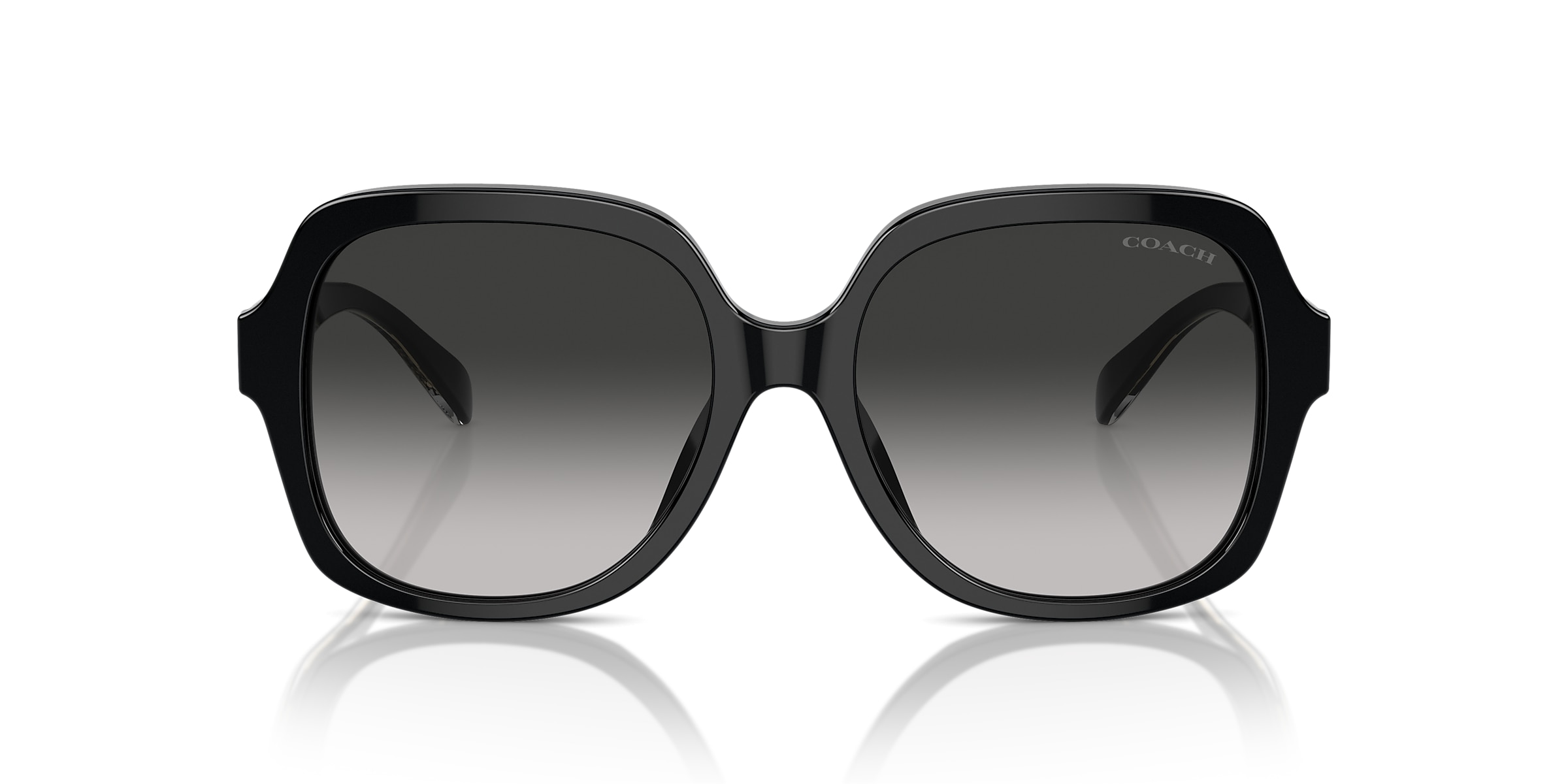 Coach Sunglasses HC8395U CR614