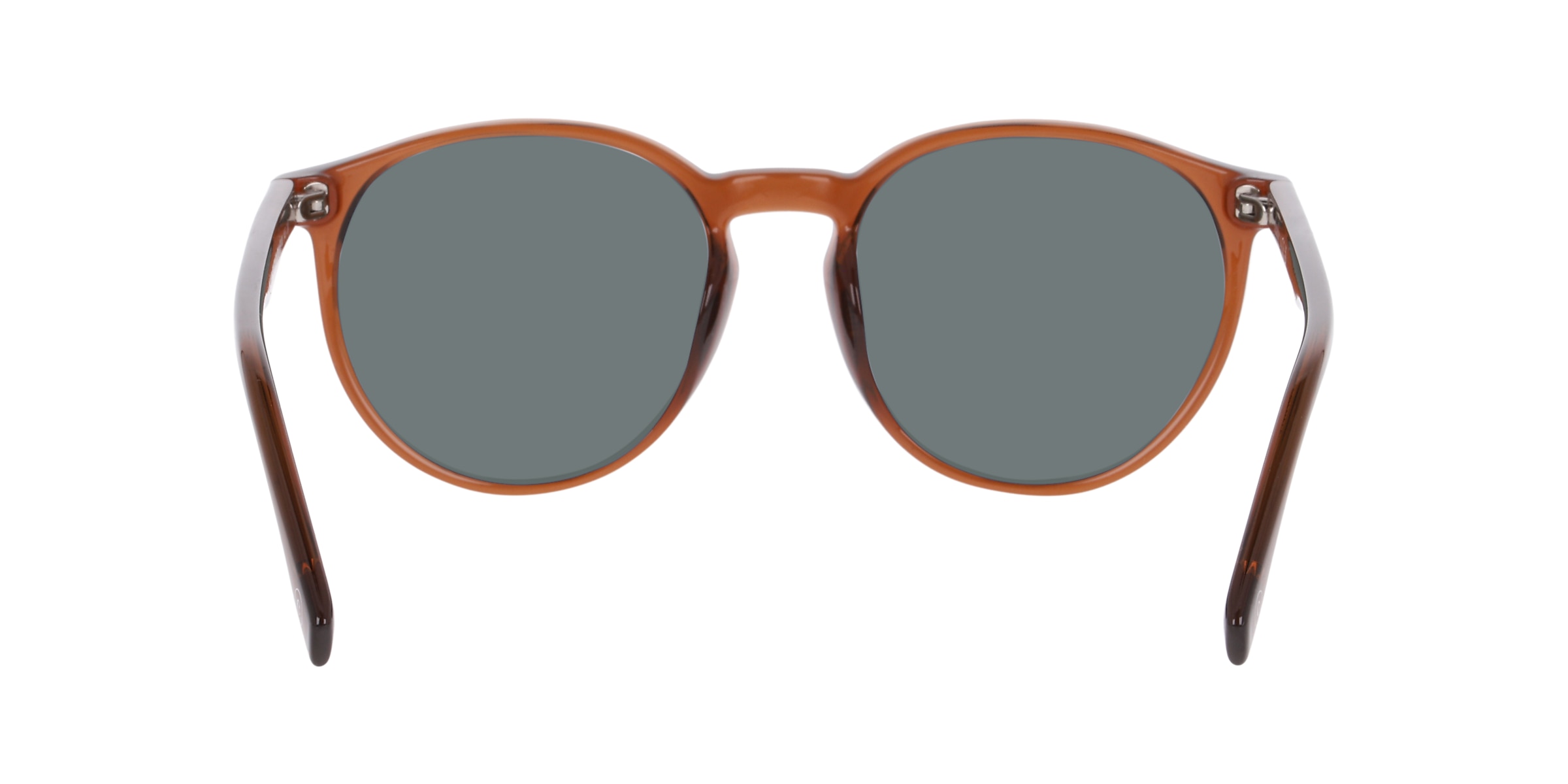 Clearly Sunglasses TELEMAIN