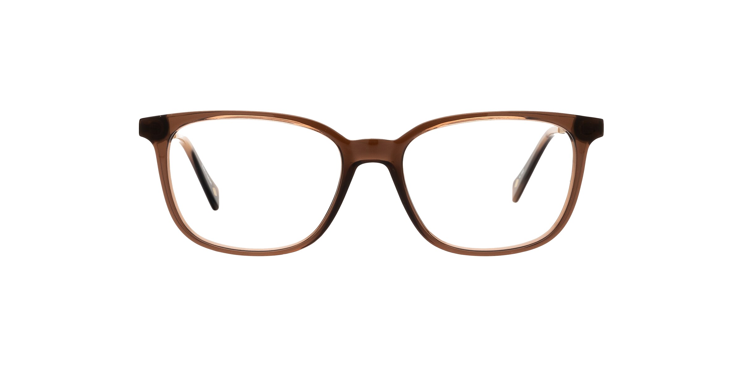 Clearly Glasses ARDEE