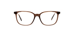 clearly Glasses ardee
