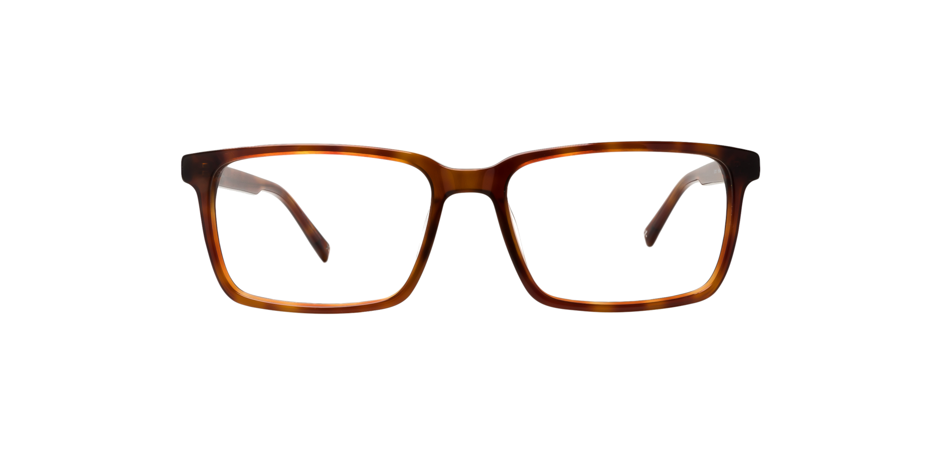 Clearly LARCH Havana, Size: S